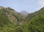 Etna, avec la falaise d Acqua Rossa qui émerge de la forêt