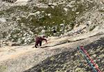 Somptueux granite